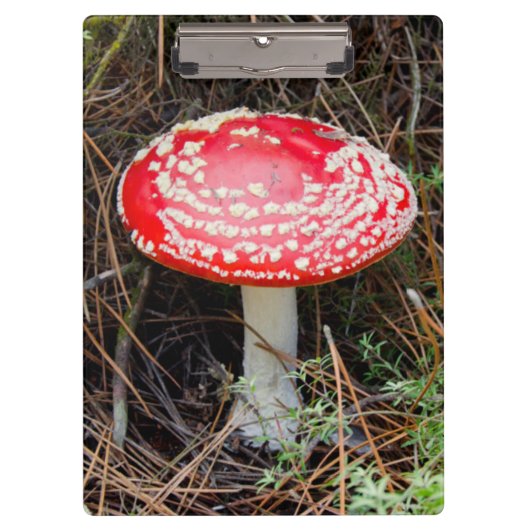 Neuseeland, Rotorua, Taupo Vulkanzone Klemmbrett (Vorderseite)