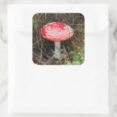 Neuseeland, Rotorua, Taupo Vulkanzone Quadratischer Aufkleber (Tasche)