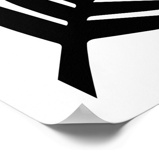 Neuseeland Silver Fern Poster (Ecke)