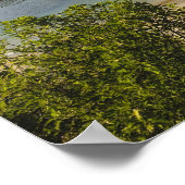 Neuseeland, Southland, Stewart Island, Halfmoon Poster (Ecke)