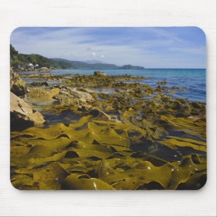 Neuseeland, Southland, Stewart Island. Kelp Mousepad
