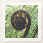 Neuseeland Souvenir Fern Koru Foto Glasuntersetzer (Vorderseite)