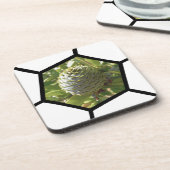 Neuseeland Souvenir Kauri Cone Getränkeuntersetzer (Linke Seite)