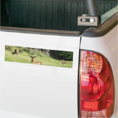 Neuseeland Stags Autoaufkleber (Auf Lkw)