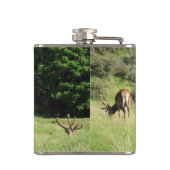 Neuseeland Stags Flachmann (Rückseite)