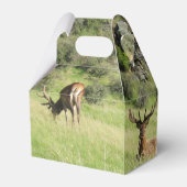 Neuseeland Stags Geschenkschachtel (Rückseite)