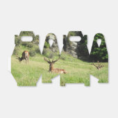 Neuseeland Stags Geschenkschachtel (Ungefaltet)