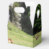 Neuseeland Stags Geschenkschachtel (Geöffnet)