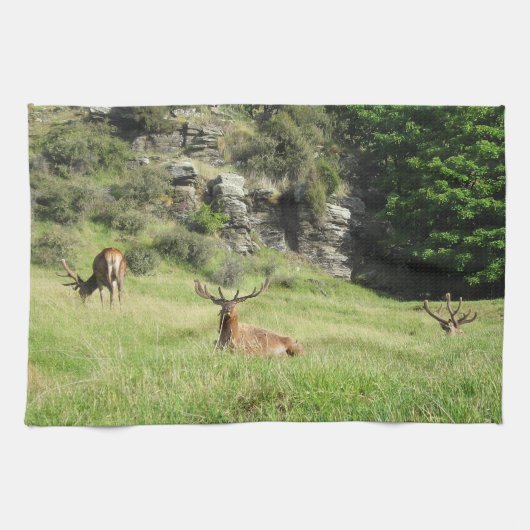 Neuseeland Stags Handtuch (Horizontal)