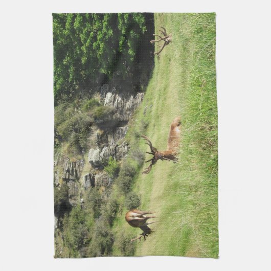 Neuseeland Stags Handtuch (Vertikal)