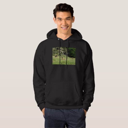 Neuseeland Stags Hoodie (Vorne ganz)