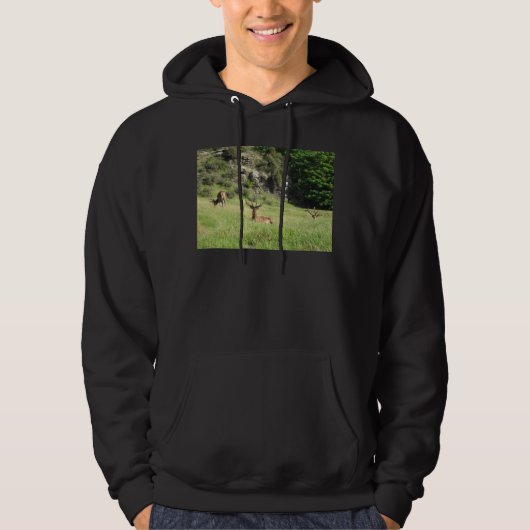 Neuseeland Stags Hoodie (Vorderseite)