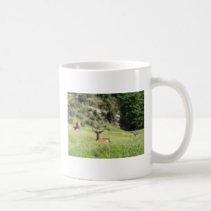 Neuseeland Stags Kaffeetasse