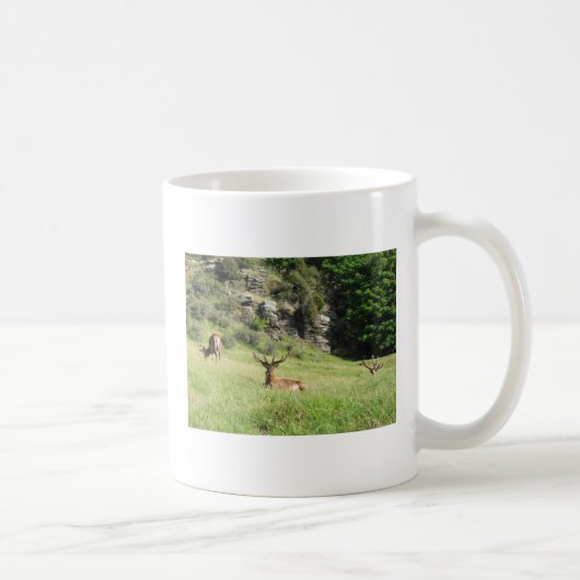 Neuseeland Stags Kaffeetasse (Rechts)