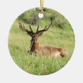 Neuseeland Stags Keramikornament (Vorne)
