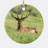 Neuseeland Stags Keramikornament (Hinten)