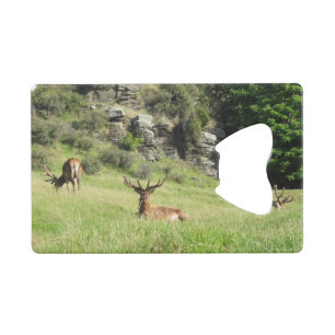 Neuseeland Stags Kreditkartenflaschenöffner