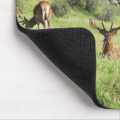 Neuseeland Stags Mousepad (Ecke)