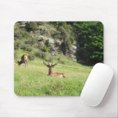 Neuseeland Stags Mousepad (Mit Mouse)