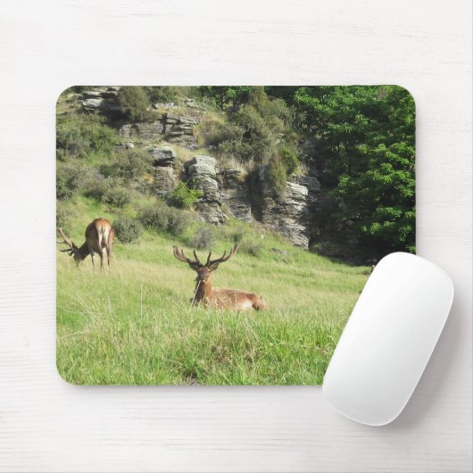 Neuseeland Stags Mousepad (Mit Mouse)
