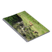 Neuseeland Stags Notizblock (Rechte Seite)