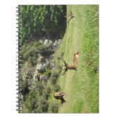 Neuseeland Stags Notizblock (Vorderseite)