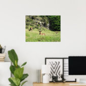 Neuseeland Stags Poster (Heimbüro)