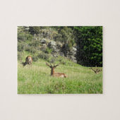 Neuseeland Stags Puzzle (Horizontal)