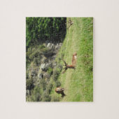 Neuseeland Stags Puzzle (Vertikal)