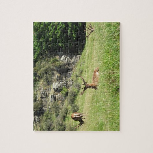 Neuseeland Stags Puzzle (Vertikal)