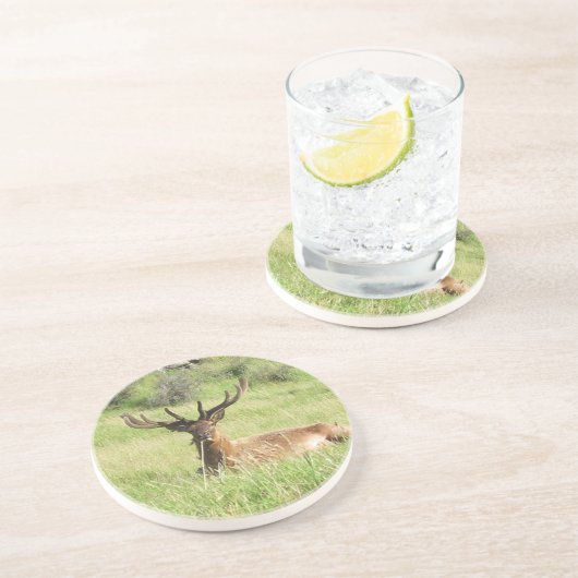 Neuseeland Stags Sandstein Untersetzer (Seite)