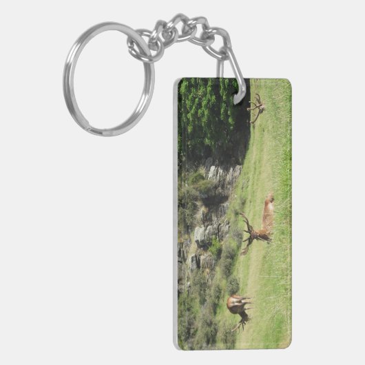 Neuseeland Stags Schlüsselanhänger (Vorderseite links)