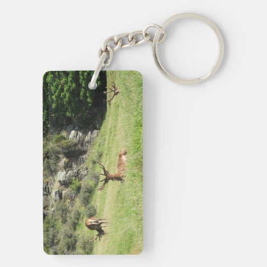 Neuseeland Stags Schlüsselanhänger (Rückseite)