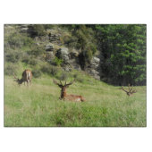 Neuseeland Stags Schneidebrett (Vorderseite)