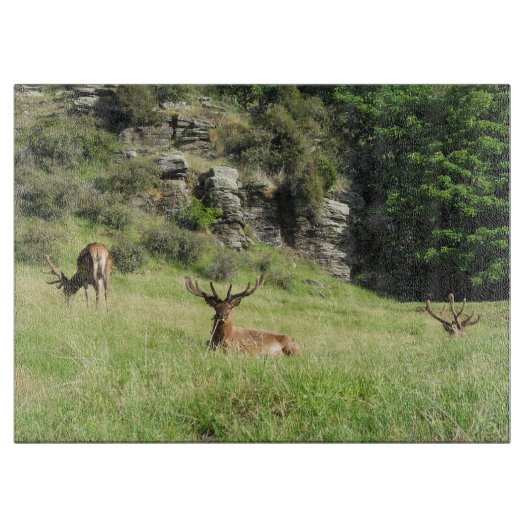 Neuseeland Stags Schneidebrett (Vorderseite)