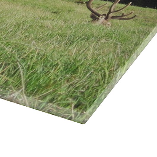 Neuseeland Stags Schneidebrett (Ecke)