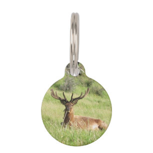 Neuseeland Stags Tiernamensmarke