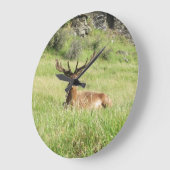 Neuseeland-Sterne Große Wanduhr (Winkel)