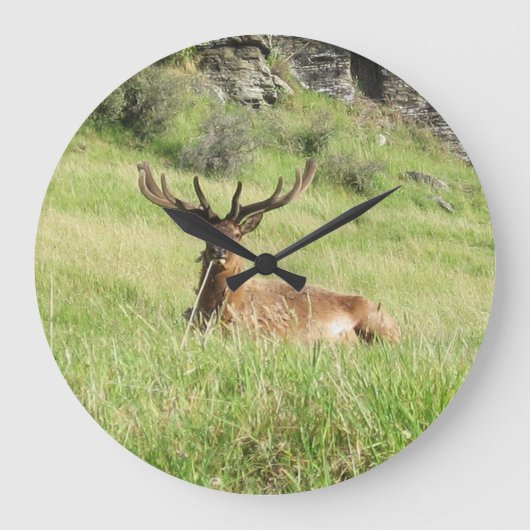 Neuseeland-Sterne Große Wanduhr (Vorderseite)