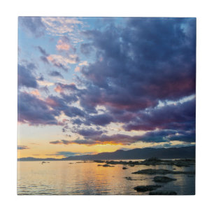 Neuseeland, Südinsel, Kaikoura, Südbucht Fliese
