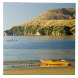 Neuseeland, Südinsel, Marlborough Sounds. 2 Fliese
