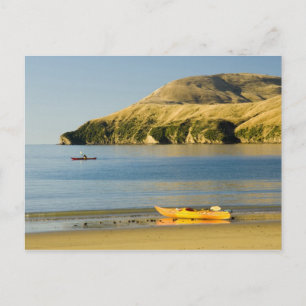 Neuseeland, Südinsel, Marlborough Sounds. 2 Postkarte