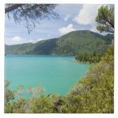 Neuseeland, Südinsel, Marlborough Sounds. Fliese (Vorderseite)