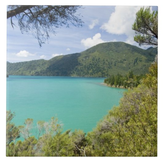 Neuseeland, Südinsel, Marlborough Sounds. Fliese (Vorderseite)