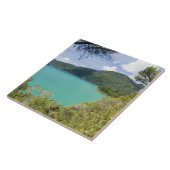 Neuseeland, Südinsel, Marlborough Sounds. Fliese (Seite)