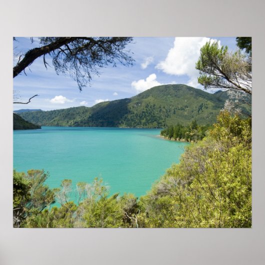 Neuseeland, Südinsel, Marlborough Sounds. Poster (Vorne)