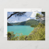 Neuseeland, Südinsel, Marlborough Sounds. Postkarte (Vorne/Hinten)