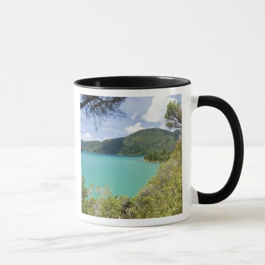 Neuseeland, Südinsel, Marlborough Sounds. Tasse (Rechts)