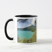 Neuseeland, Südinsel, Marlborough Sounds. Tasse (Links)