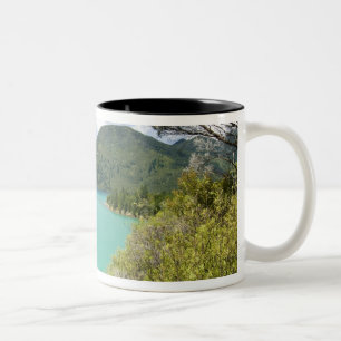 Neuseeland, Südinsel, Marlborough Sounds. Zweifarbige Tasse